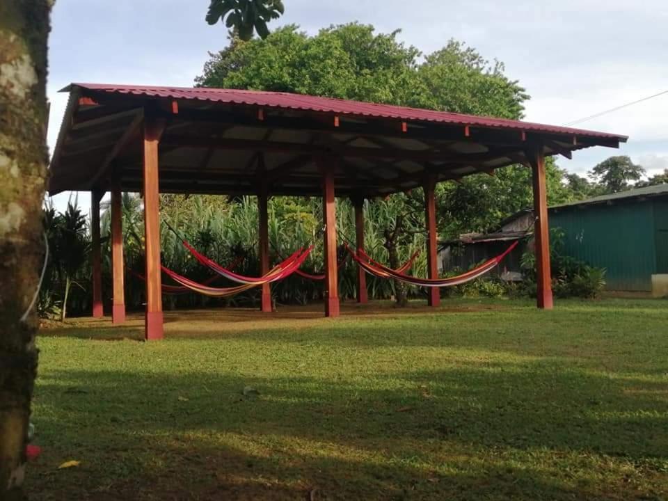 Cabanas Daneysha Tortuguero Exterior foto