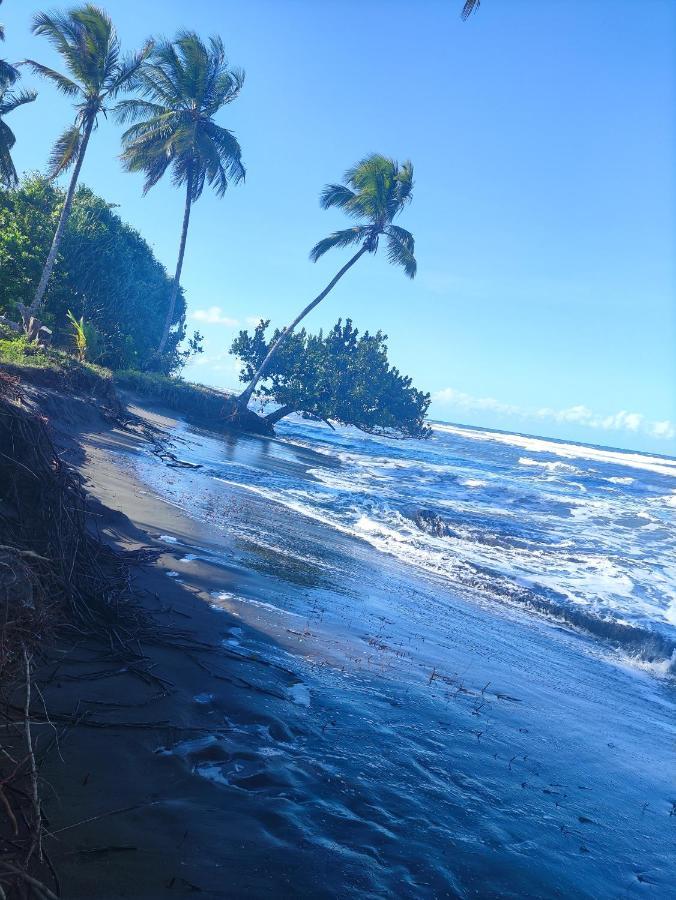 Cabanas Daneysha Tortuguero Exterior foto