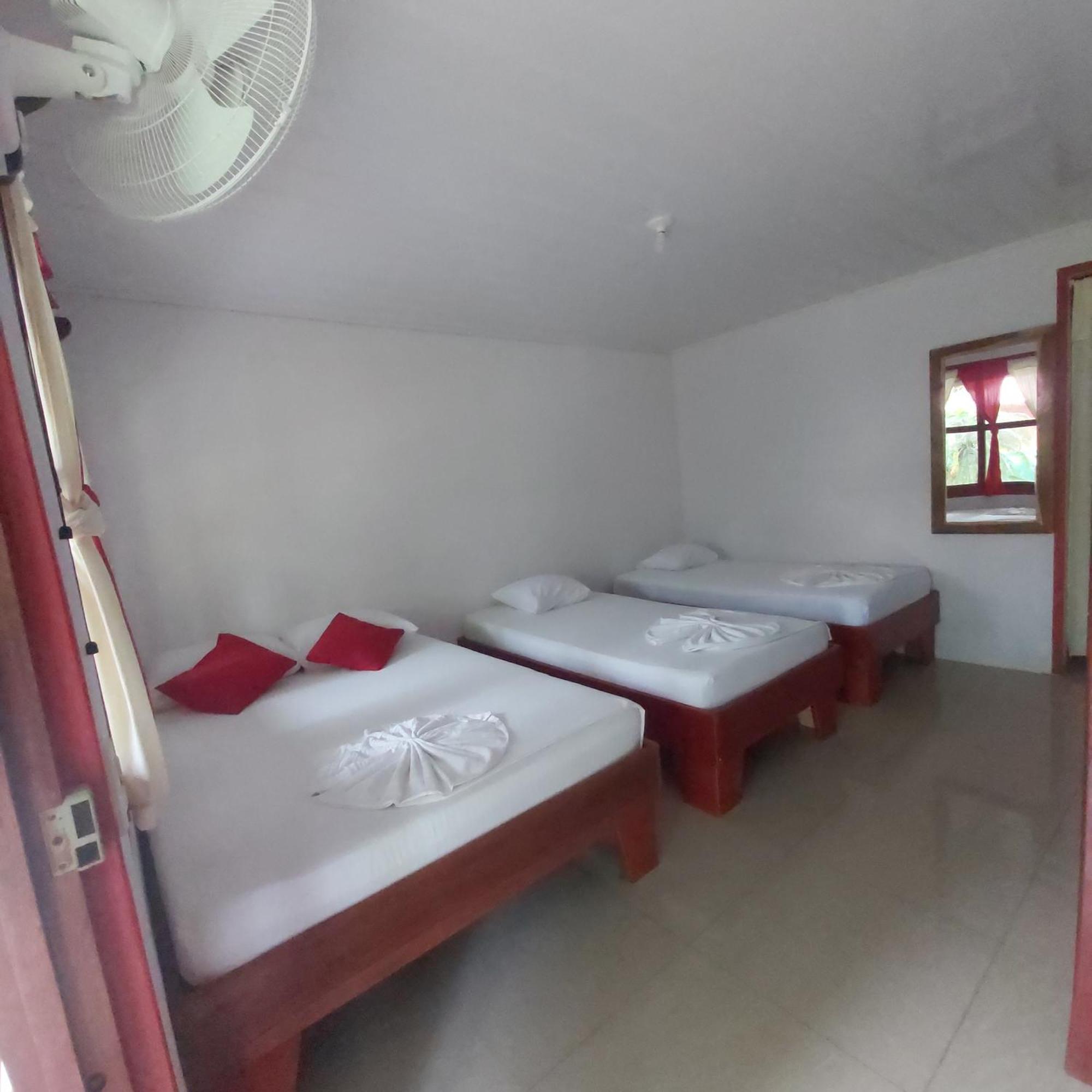 Cabanas Daneysha Tortuguero Zimmer foto