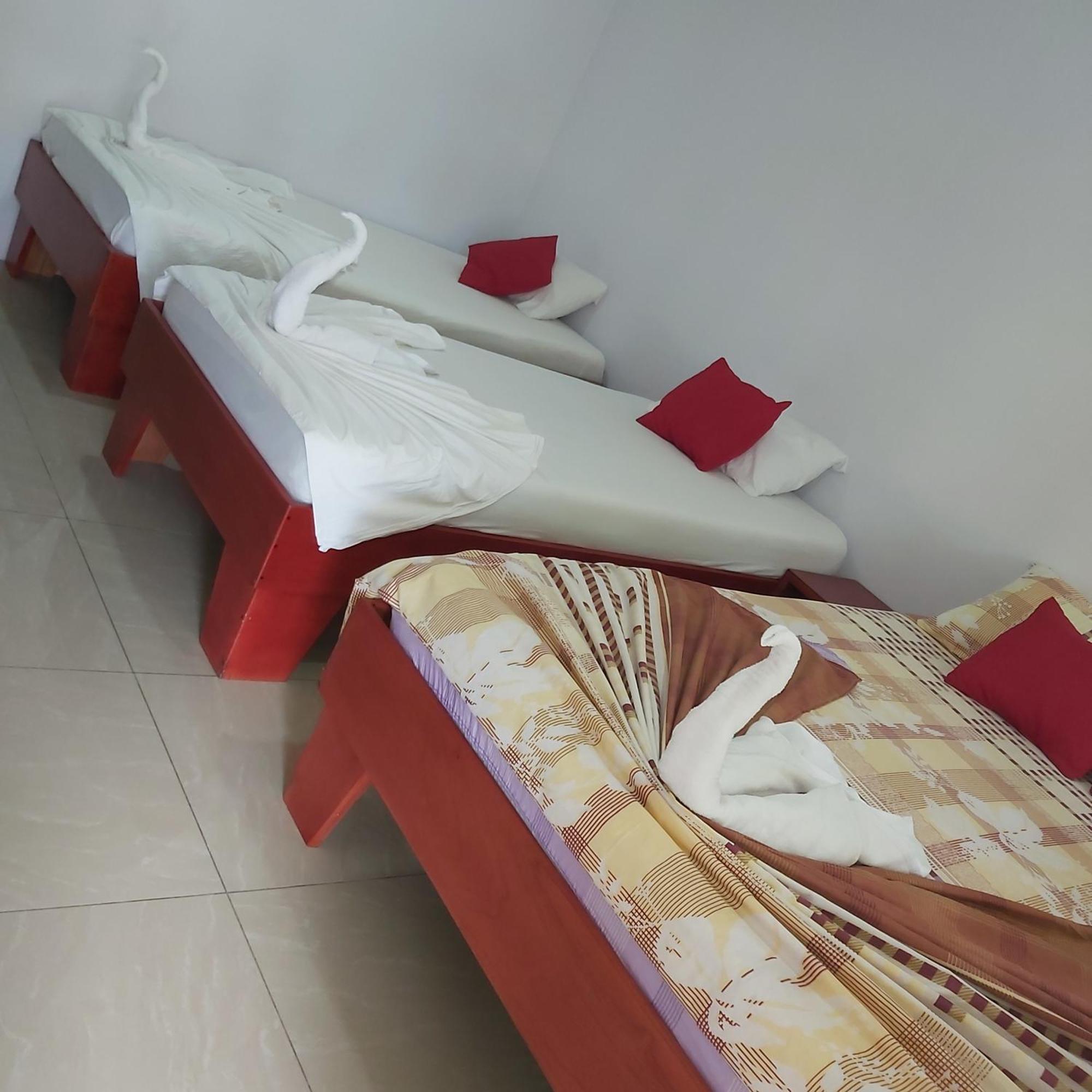 Cabanas Daneysha Tortuguero Zimmer foto
