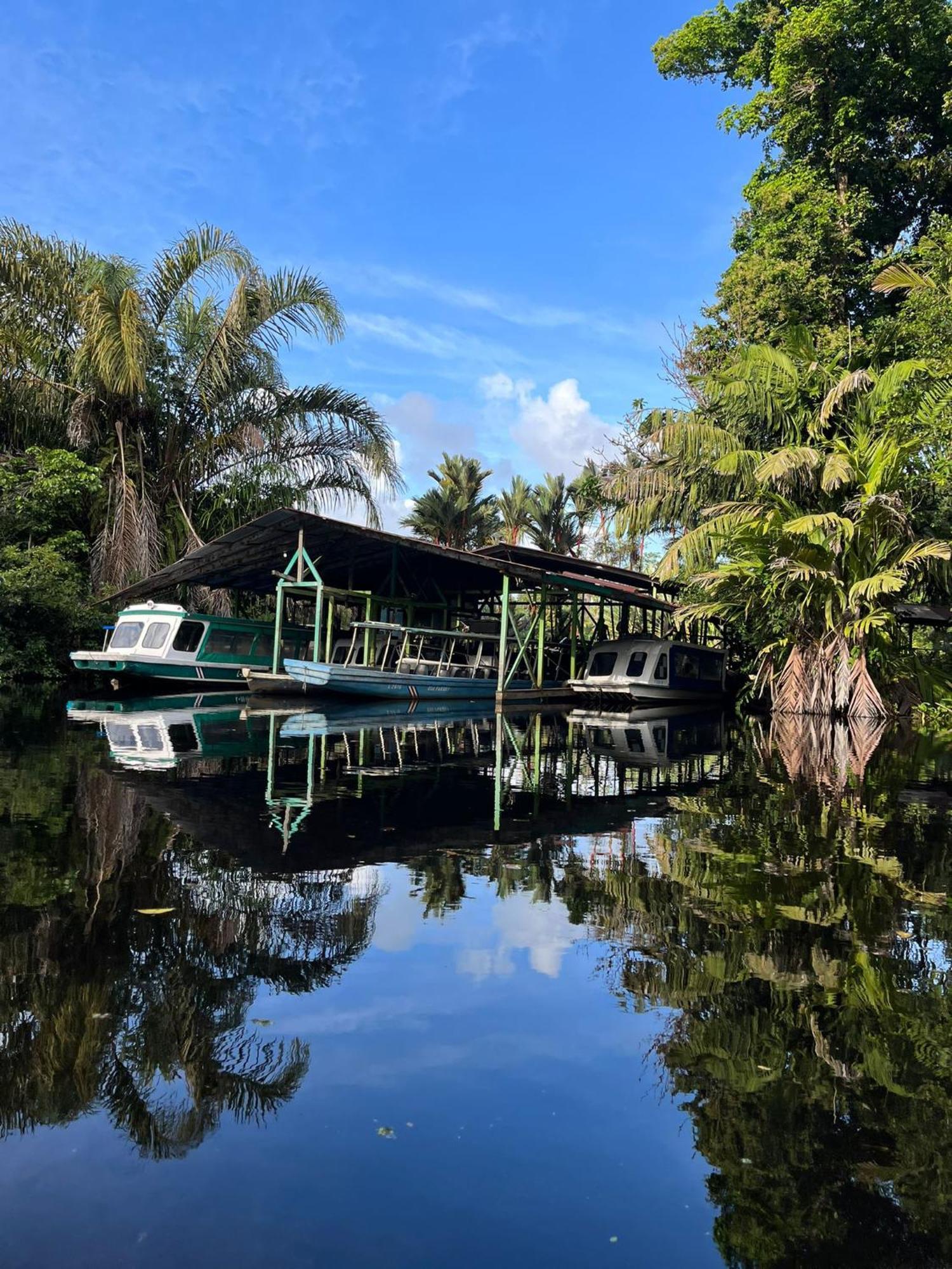 Cabanas Daneysha Tortuguero Zimmer foto